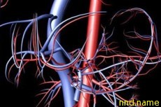 Наночастицы прочистят артерии и улучшат кровоток