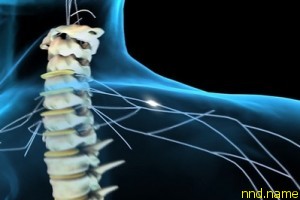 Стволовые клетки лечат травмы спинного мозга