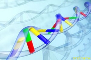 Генетики придумали, как найти самые редкие мутации