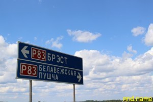 Путешествие в Беловежскую пущу