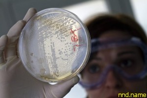 Новые антибиотики: ответ бактериям с иммунитетом