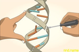 CRISPR-Cas9: заменить бракованные гены