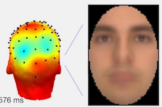 Сканер научился распознавать визуальные образы и мысли