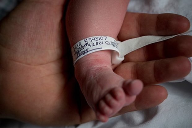 Франция изучит массовое рождение детей безрук