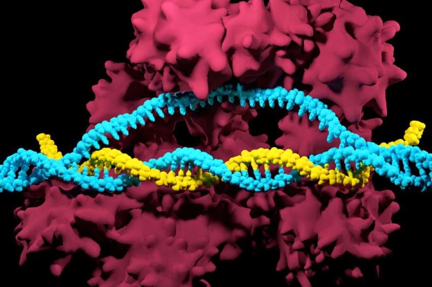 Как редактирование генома изменит мир?