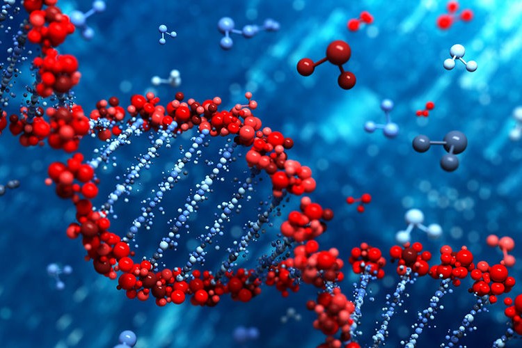 Открытия и технологии, связанные с молекулой ДНК