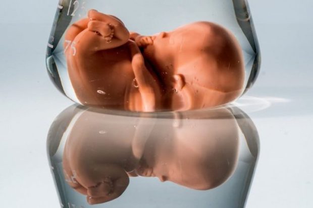 Рождение первых в истории генетически модифицированных детей раскололо научное сообщество