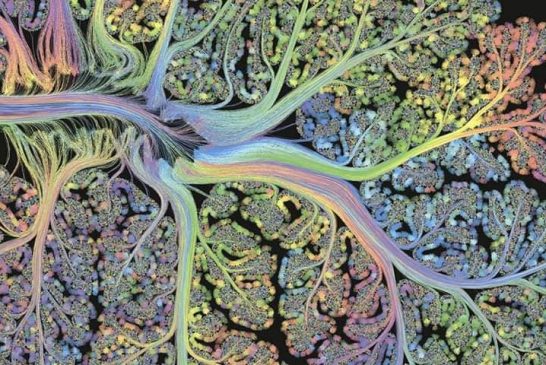 нейронная сеть мозга крупным планом