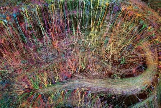 нейронная сеть мозга крупным планом