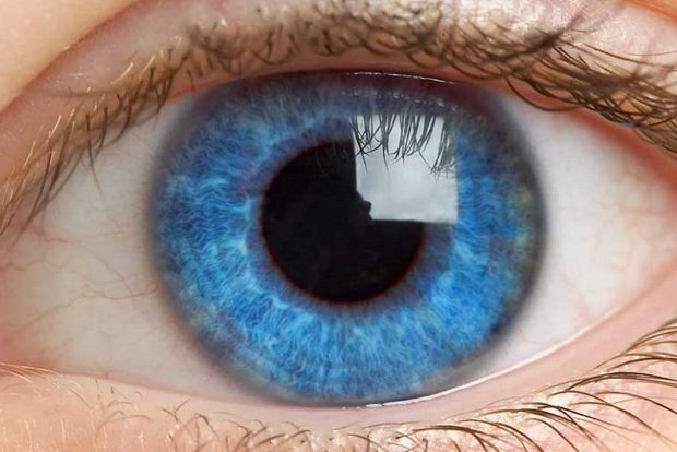Vuity - глазные капли, заменяющие очки для чтения