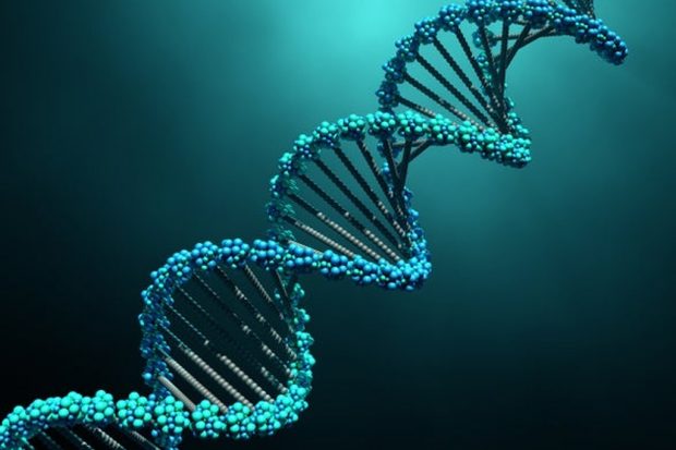 Четыре истории успеха генной терапии