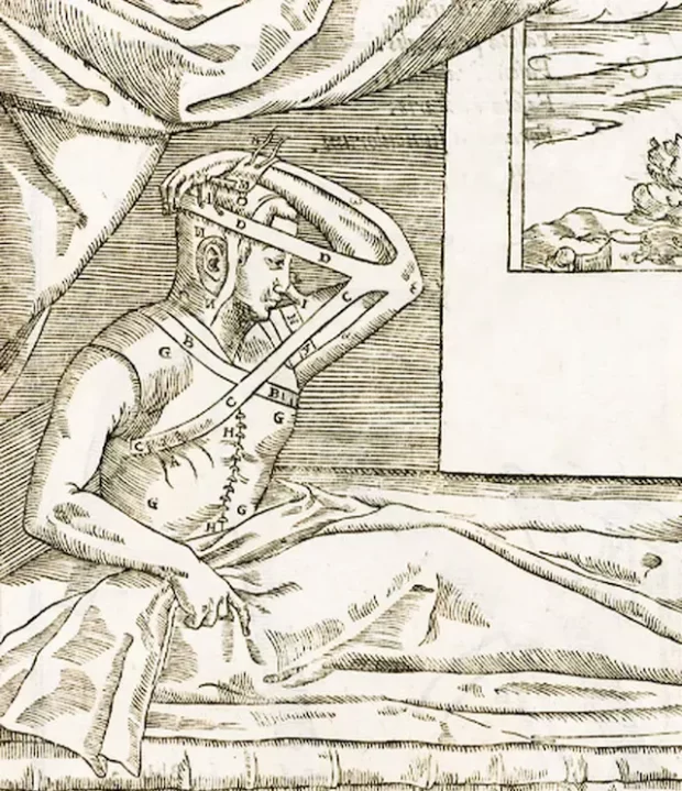 Иллюстрация из книги Гаспара Тальякоцци «De Curtorum Chimrgia per Insitionem», 1597 Фото: Wikipedia