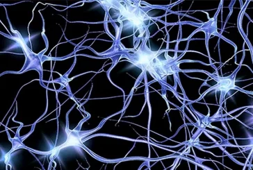 Искусственные нейроны помогут от Паркинсона