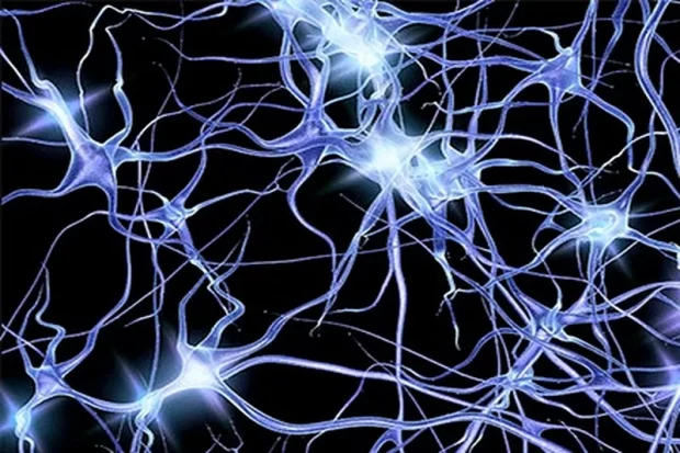 Искусственные нейроны от болезни Паркинсона