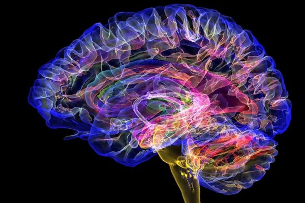мозговой имплантат помог повысить скорость мышления на 32%.