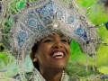 Бразильский карнавал феерия для всех