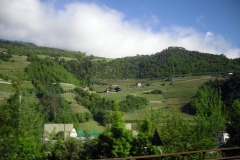 kolesim-po-italii-avtobusnyiy-tur-na-kolyaske