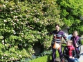 zalzburg_07
