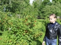 parecka